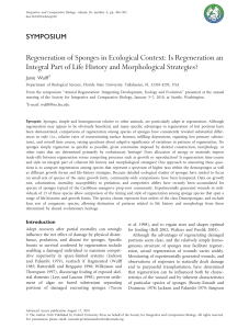 Regeneration of Sponges in Ecological Context