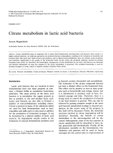 Citrate metabolism in lactic acid bacteria