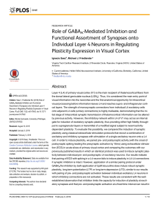 Role of GABAA-Mediated Inhibition and Functional Assortment of