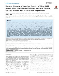 Genetic Diversity of the Coat Protein of Olive Mild Mosaic Virus