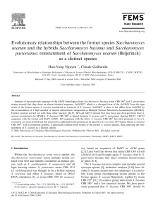 Evolutionary relationships between the former species