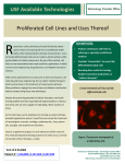 01A004 - Proliferated Cell Lines and Uses Thereof
