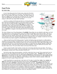 Food Webs - Effingham County Schools