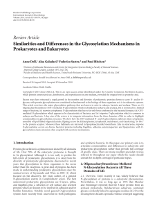 Similarities and Differences in the Glycosylation Mechanisms in