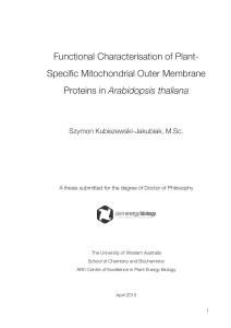Functional Characterisation of Plant