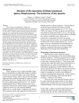 Revision of the taxonomy of finless porpoises (genus Neophocaena