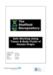 Safe Use of Human Tissues - The University of Sheffield