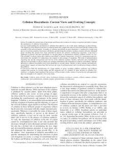 Cellulose Biosynthesis: Current Views and