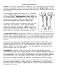 Lymph Node Removal