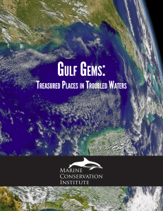 Gulf Gems - Marine Conservation Institute