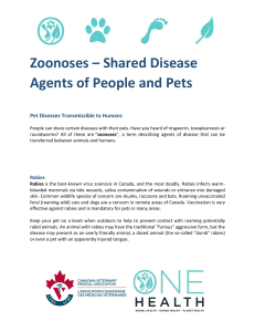 Zoonoses – Shared Disease Agents of People and Pets