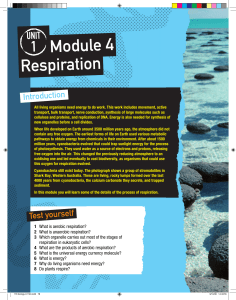 What is respiration?