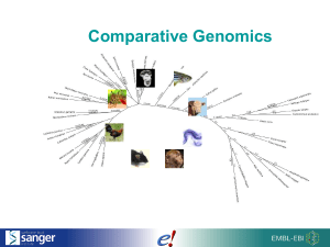 Comparative Genomics