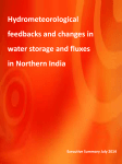 Hydrometeorological feedbacks and changes in water storage and