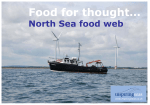 North sea food thought game cards