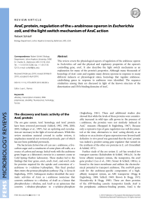 AraC Protein, Regulation of the L-arabinose Operon in Escherichia