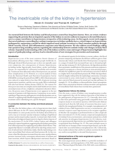 The inextricable role of the kidney in hypertension