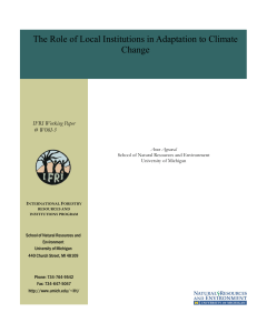 The Role of Local Institutions in Adaptation to Climate Change