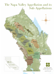 The Napa Valley Appellation and its Sub