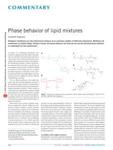 Phase behavior of lipid mixtures - Feigenson Lab