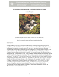 Eradication of Rattus norvegicus from Seabird Habitat in Canada