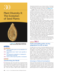 Plant Diversity II: The Evolution of Seed Plants