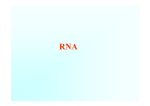 Ascona B-DNA Consortium