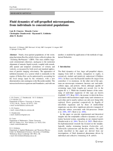 Fluid dynamics of self-propelled microorganisms, from individuals to