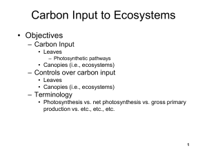 Carbon Input to Ecosystems