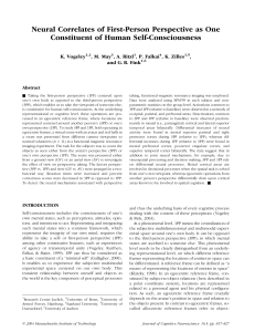 Neural Correlates of First-Person Perspective as One Constituent of