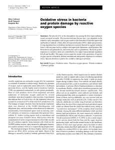 Oxidative stress in bacteria and protein damage by reactive oxygen