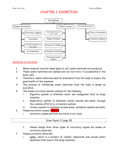 CHAPTER 3: EXCRETION