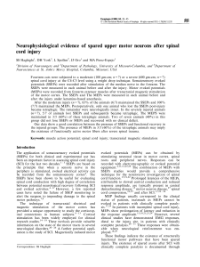Neurophysiological evidence of spared upper motor neurons after