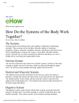 How Do the Systems of the Body Work Together?