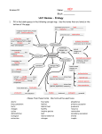 Ecology Review - KEY