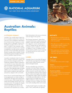 Australian Animals: Reptiles