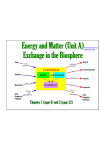 Energy Flow and Mattery Cycling Semester Review Notes