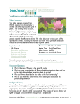 Reproductive Role of Flowers - Educator Guide