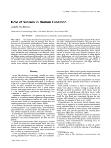 Role of viruses in human evolution