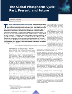 The Global Phosphorus Cycle: Past, Present