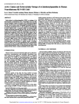 Active Uptake and Extravesicular Storage of m