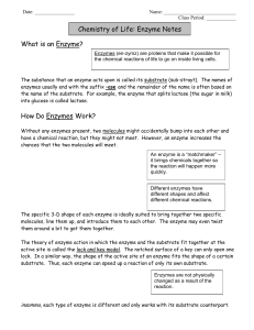 What is an Enzyme? How Do Enzymes Work? Chemistry of Life