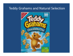 Teddy Grahams and Natural Selection