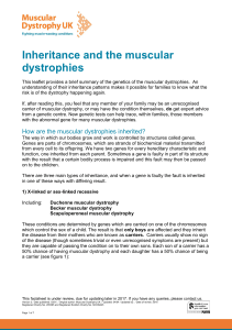 Inheritance and the muscular dystrophies