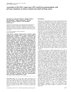 Association of the DNA repair gene XPD Asp312Asn polymorphism