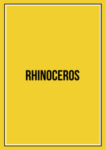 Rhinoceros bid - Michael Pilch Studio