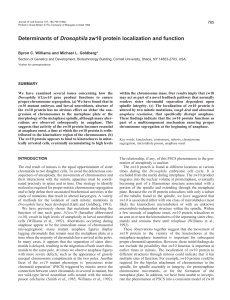 Determinants of Drosophila zw10 protein localization and function