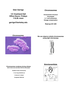 Amniocentisis - Berkeley MCB