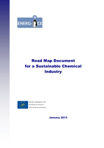 Road Map Document for a Sustainable Chemical Industry