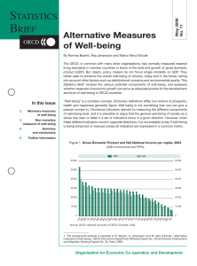 STATISTICS BRIEF Alternative Measures of Well-being